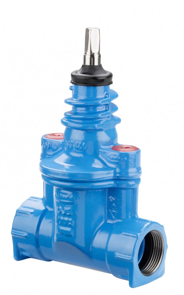 Вентиль Hawle 2600 dn 63 ду 2" в Астане